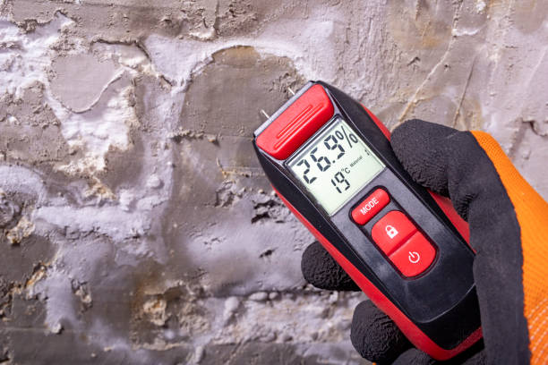 Best Commercial Mold Remediation in Gretna, FL